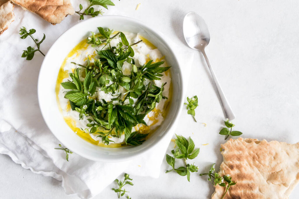 Ricotta dip med med skvalderkål - opskrift på ricotta spread