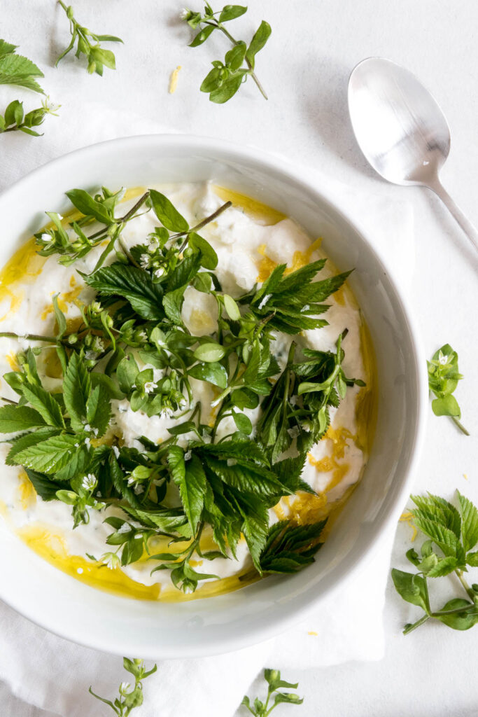 Cremet ricotta dip med citron og urter - opskrift på spread